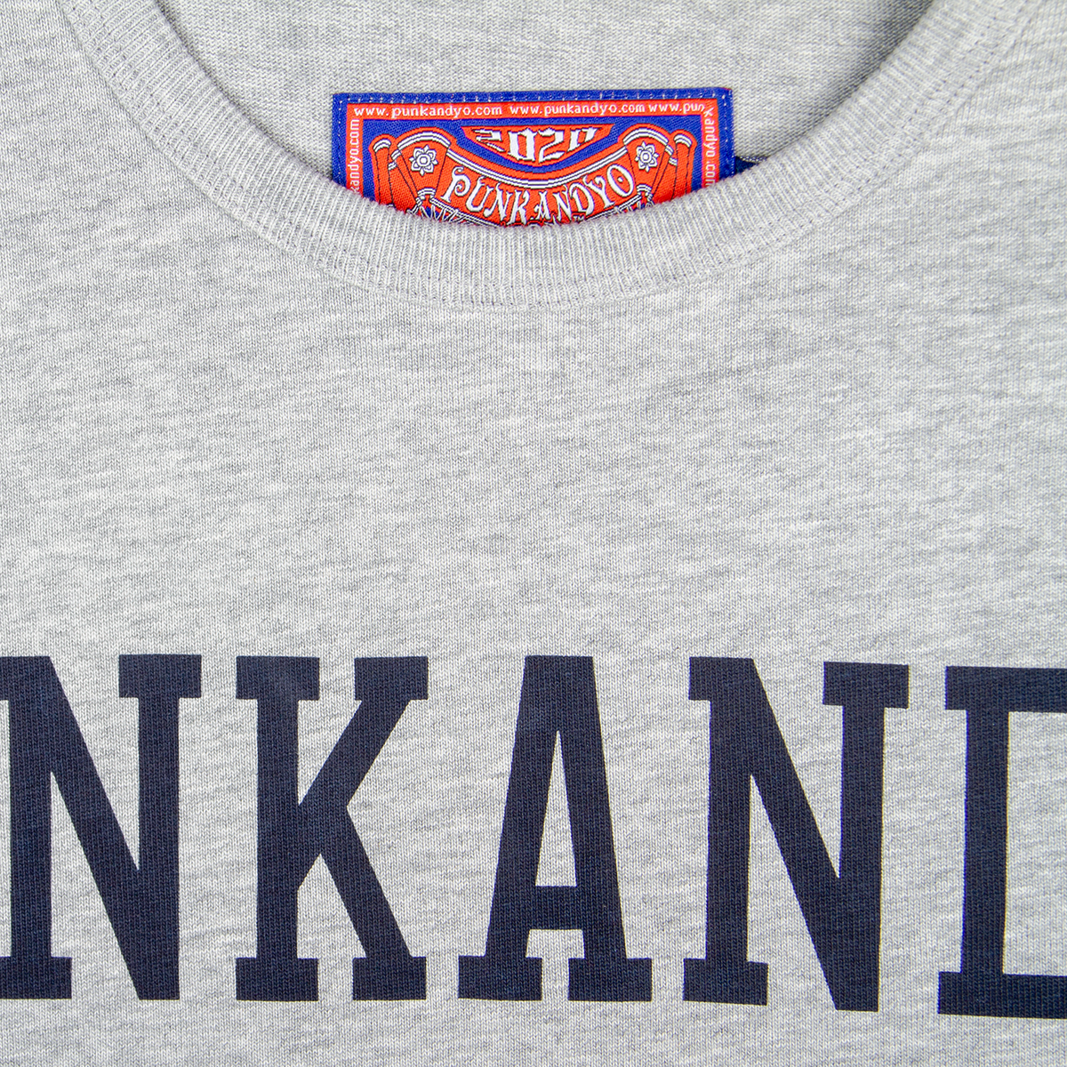 COLLEGE HEAVYWEIGHT T-SHIRT – PUNKANDYO