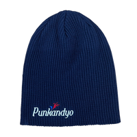 NAVY DOUCHEBAG HAT