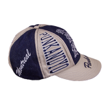 6 PANEL CAP GREY