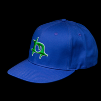 BLUE "N" SNAPBACK