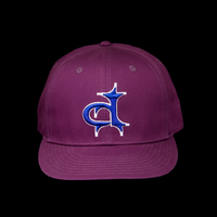 PURPLE "D" SNAPBACK