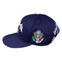 PUNKANDYO USA CAP