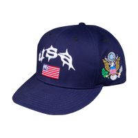 PUNKANDYO USA CAP